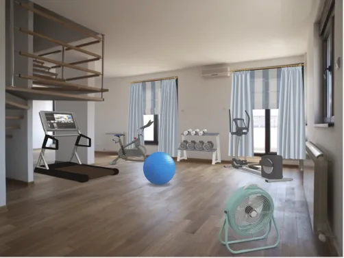 My exercise room