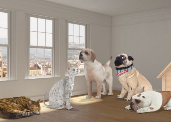 Pets rule the house！ Design Rendering