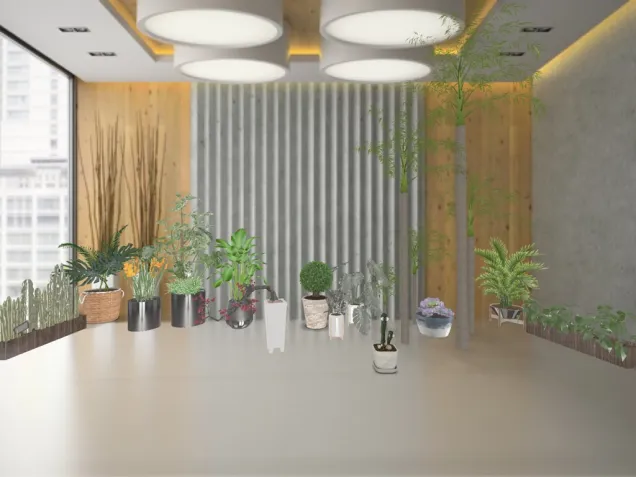 room plant 