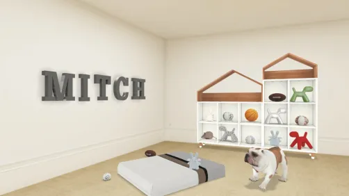 MITCH dog room