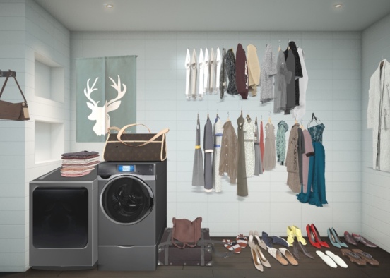 laundry room and closet  Design Rendering