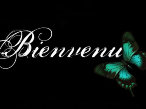 Bienvenue!!!
