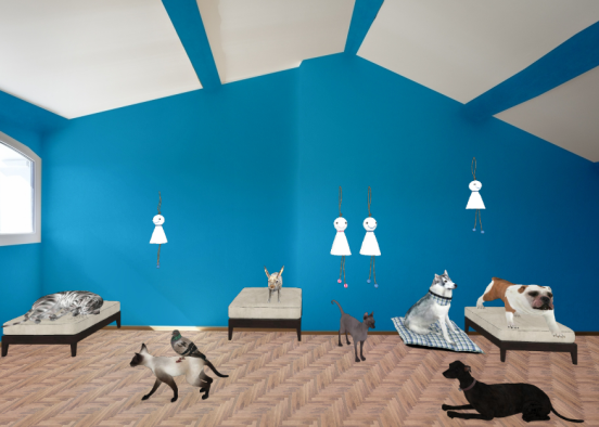 Animal shelter 🐶🐈 Design Rendering