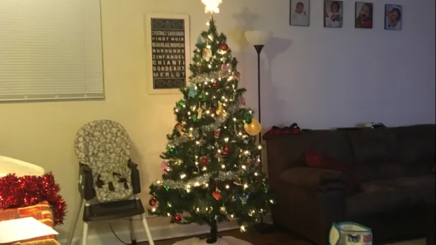 Real life Christmas Tree 