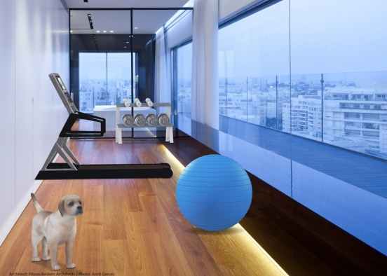 private work out room Design Rendering