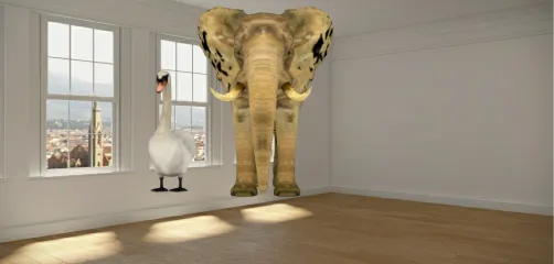 O pato