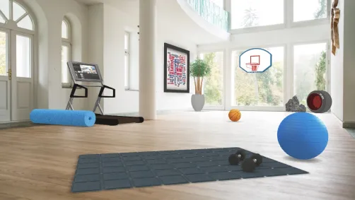 a fantastic indoor gym and entertainment space