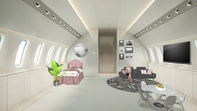 private jet for one