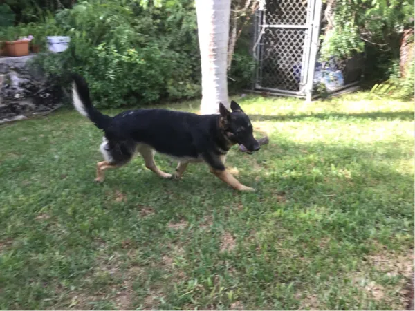 Professional interior design created with Homestyler 3D design software