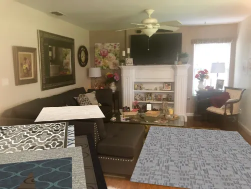 Family Room grey blue rug