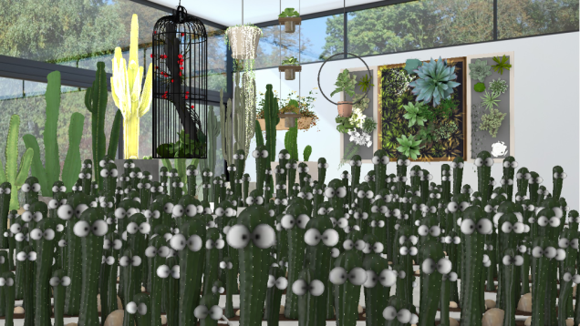 Cactus + Plants