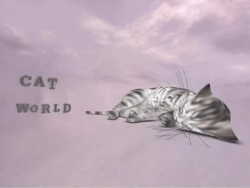 oh my sweet cat🧶❤️❤️❤️