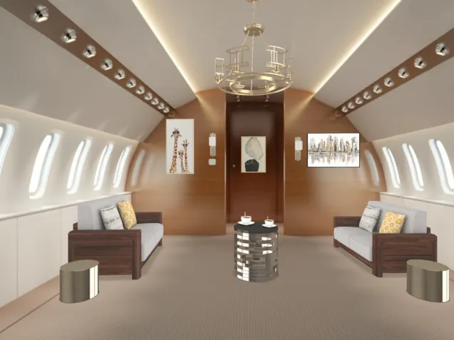 Our Private Jet!!!!!!!! First Class!!!!!!! 