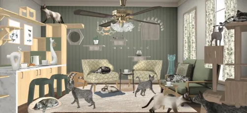 The Cat Cafe Nearby 🐈🐈‍⬛