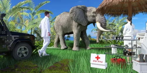 Wild Animal Medical Care