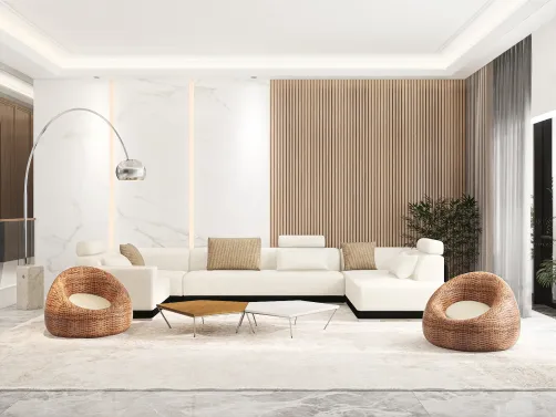 Another Minimal Living Room.