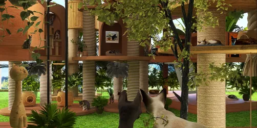 Cat city