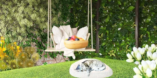 Backyard