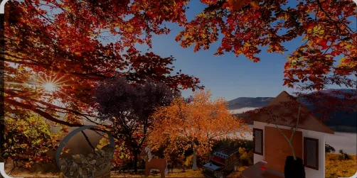 autumn evening 