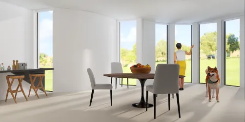 Salle à manger 