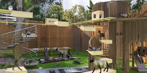 Santuario de gatos 🐈‍⬛ 