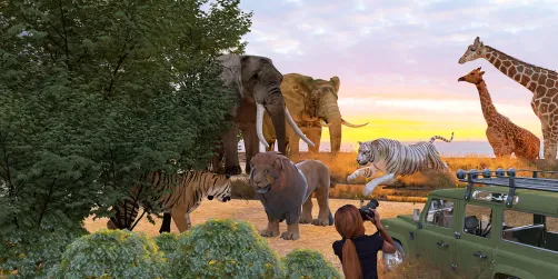 Safari Dream