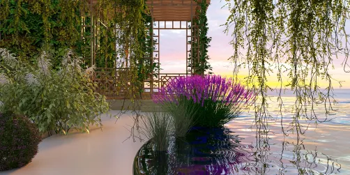 Outdoor oasis 