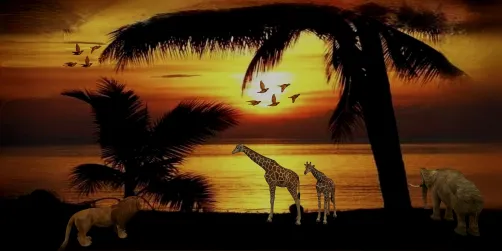 A is for Amazing Amazon. African Sunset.