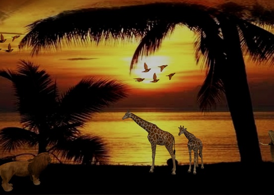 A is for Amazing Amazon. African Sunset. Design Rendering