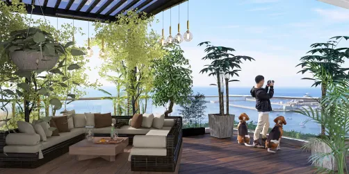 Modern Pergolas Terrace open Space.