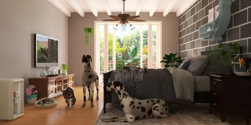 Naomi’s Bedroom🐈‍⬛✨