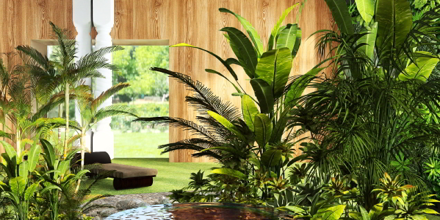Tropical garden right in the house