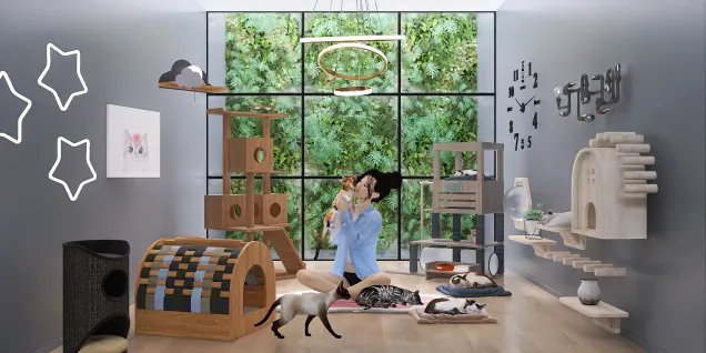 Cat Room With Modern Design And Aesthetic