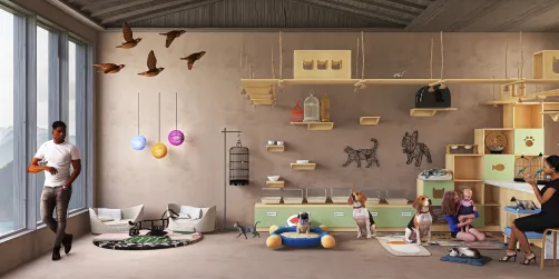 pet shop