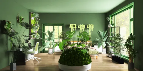 plant bedroom