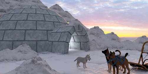 Cinematic Igloo