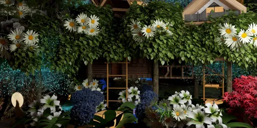 Hidden tree house stay