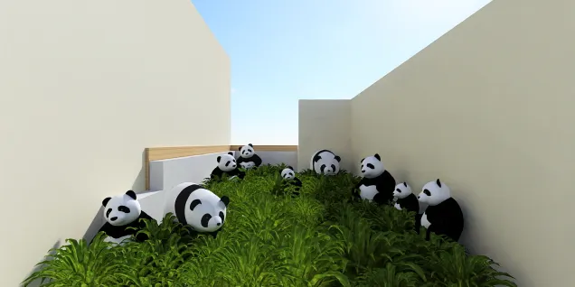 Panda Day 🐼🐼🐼