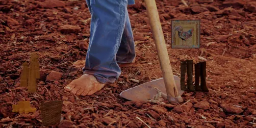 HELLO, this Farmgirl needs HELP