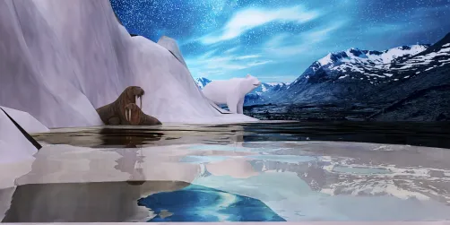 Dedicato al polo nord salviamo la nostra terra!