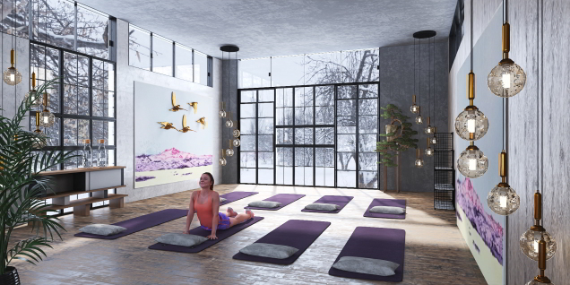 Luxury Yoga Studio
