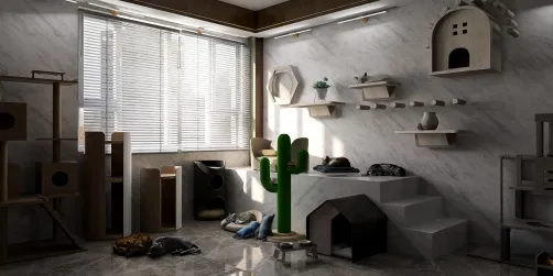 cat room