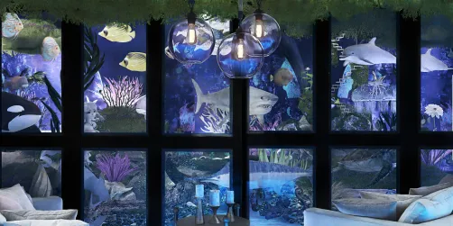 Underwater Housing