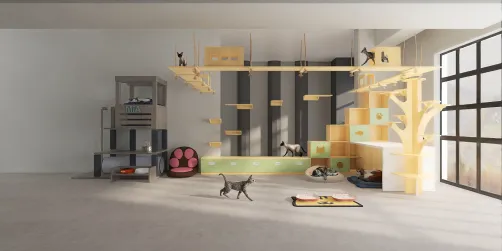 cat room