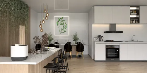 Modern Minimalist Kitchen
