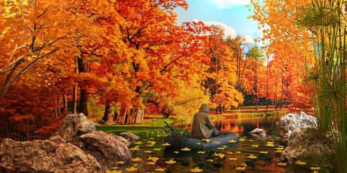 🍁🍁🍁🍂🍂🍂🍂