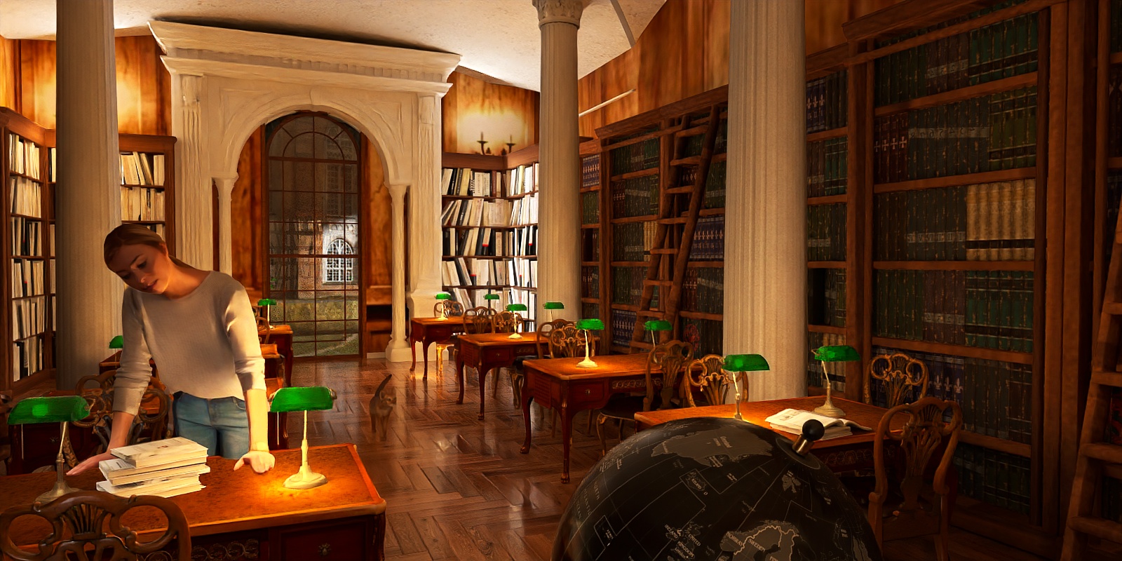 😼😼😼University library 