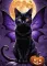 Joanne M 🐾💜🐾🖤