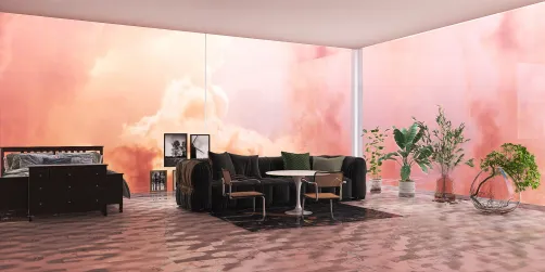 Salons et chambre.