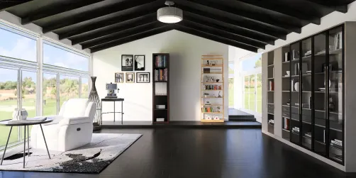 For book lovers.... home library